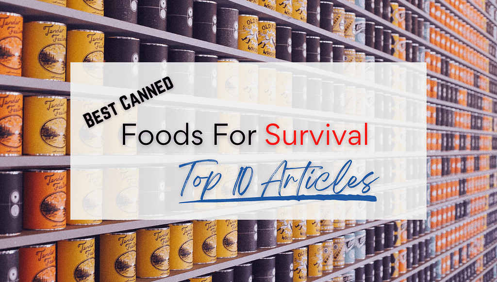Best Canned Foods For Survival Top 10 Articles
